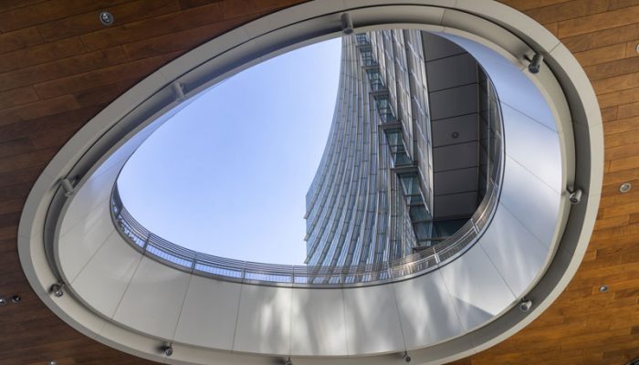 ridi-modern-buildings-at-gae-aulenti-square-in-milan-2025-01-09-01-41-08-utc